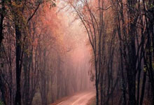 流行羽2025传奇挑战赛即将启动2025-03-29.