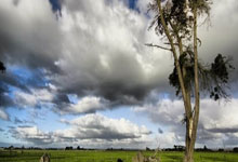 意昂体育：首届全省老干部乒乓球联盟邀请赛在济南举行.