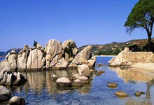 意昂体育：埃里克：我一直说我是中卫，但教练信任我踢各个位置是好事.